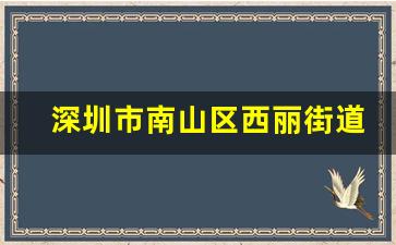 深圳市南山区西丽街道 物价_南山区西丽中心区